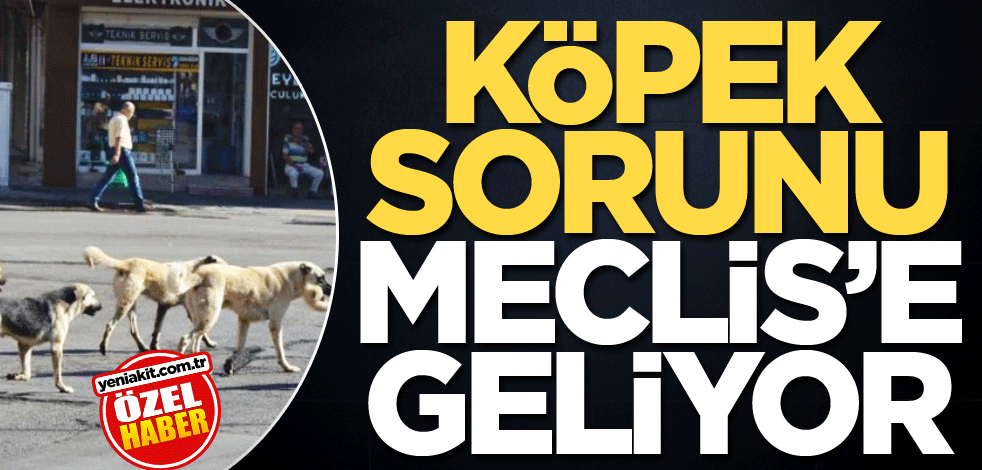 Köpek sorunu Meclis’e geliyor