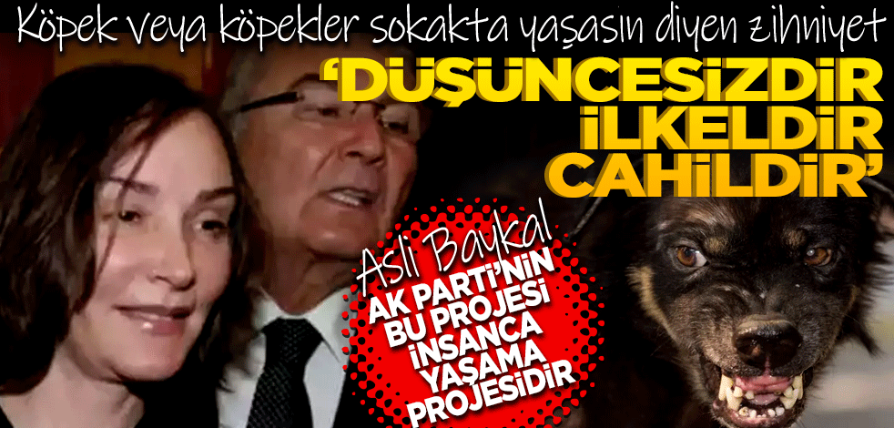 Köpek veya köpekler sokakta yaşasın diyen zihniyet ilkeldir, cahildir, düşüncesizdir