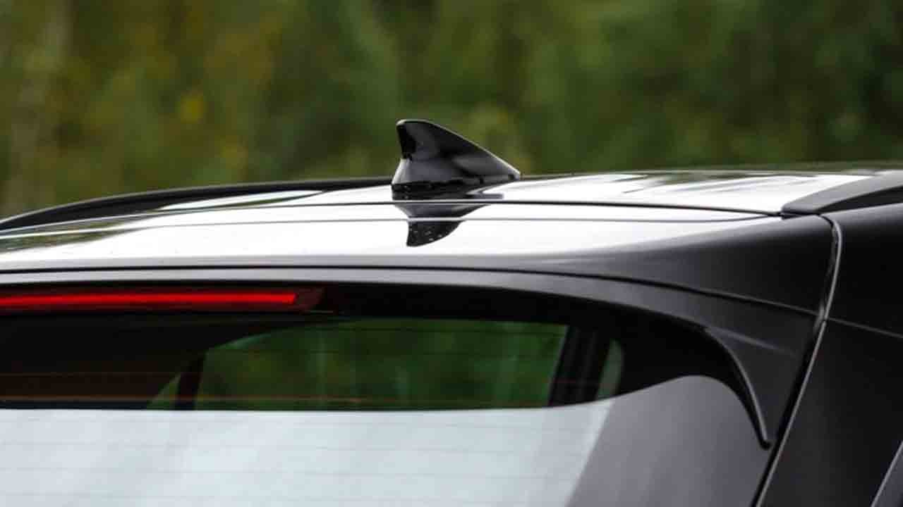 Köpekbalığı yüzgeci gizli güç: Tavandaki teknoloji merkezi