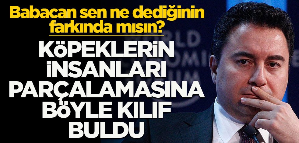 Köpeklerin insanları parçalamasına böyle kılıf buldu! Babacan sen ne dediğinin farkında mısın?