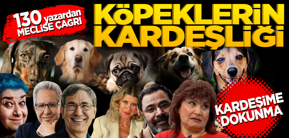 Köpeklerin kardeşliği! 130 yazardan Meclis'e çağrı "Kardeşime dokunma!"