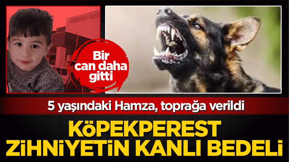 Köpekperest zihniyetin kanlı bedeli: 5 yaşındaki Hamza, toprağa verildi
