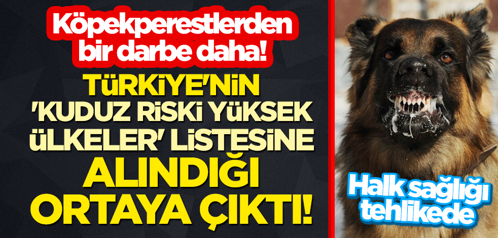 Köpekperestlerden bir darbe daha! Halk sağlığı tehlikede: Türkiye'nin 'kuduz riski yüksek ülkeler' listesine alındığı ortaya çıktı!