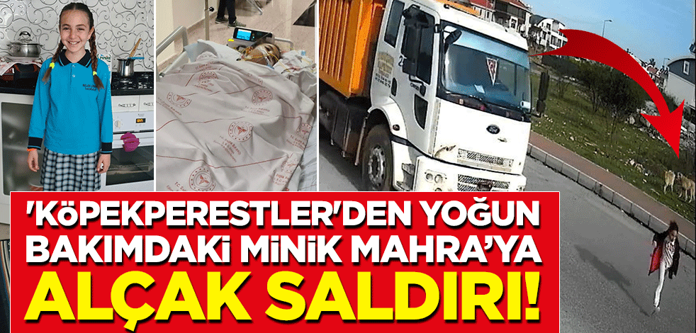 'Köpekperestler'den yoğun bakımdaki minik Mahra'ya alçak saldırı!