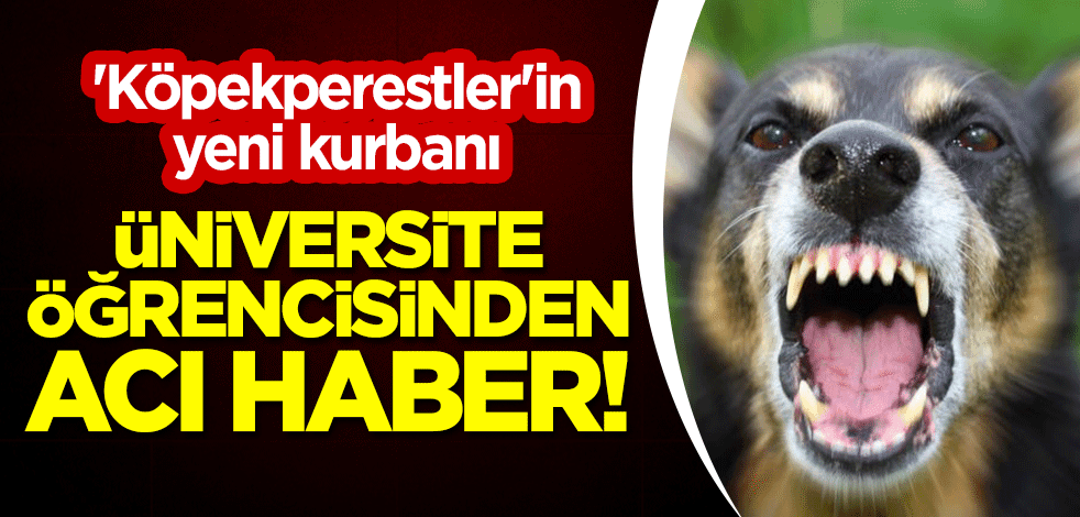 'Köpekperestler'in yeni kurbanı: Üniversite öğrencisinden acı haber!