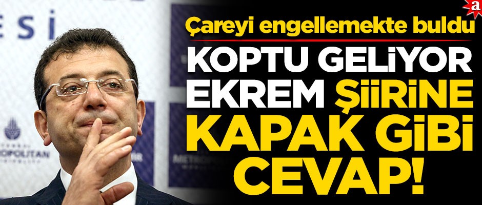 "Koptu geliyor Ekrem" şiirine kapak gibi cevap! Çareyi engellemekte buldu