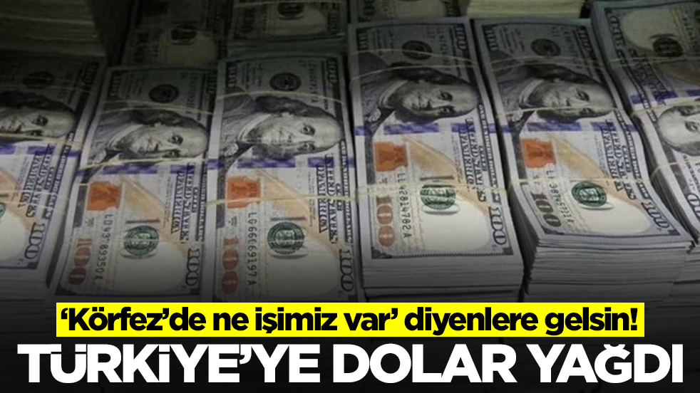 “Körfez’de ne işimiz var’ diyenlere gelsin: Türkiye'ye dolar yağdı
