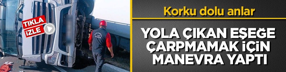 Korku dolu anlar! Yola çıkan eşeğe çarpmamak için manevra yaptı