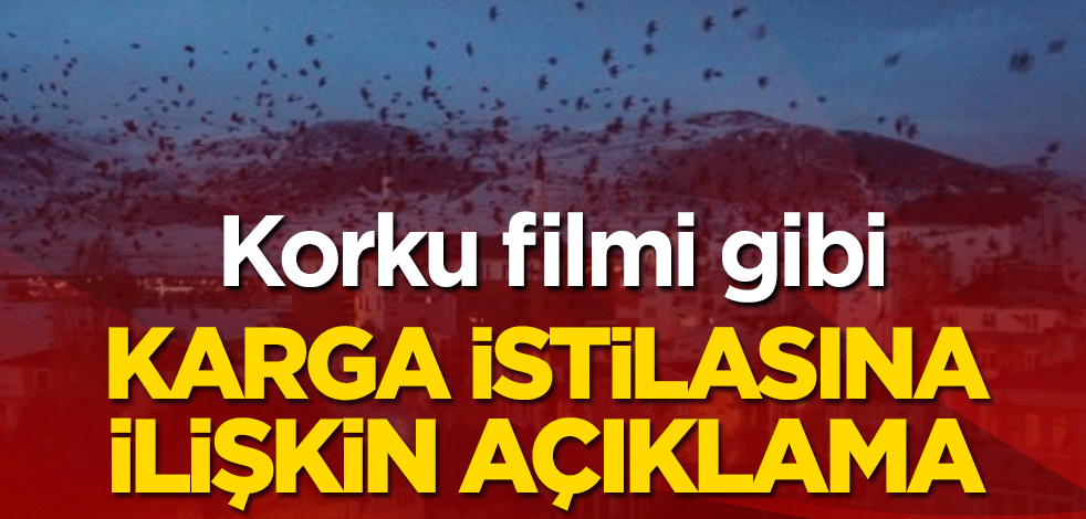 Korku filmi gibi! Karga istilasına ilişkin açıklama