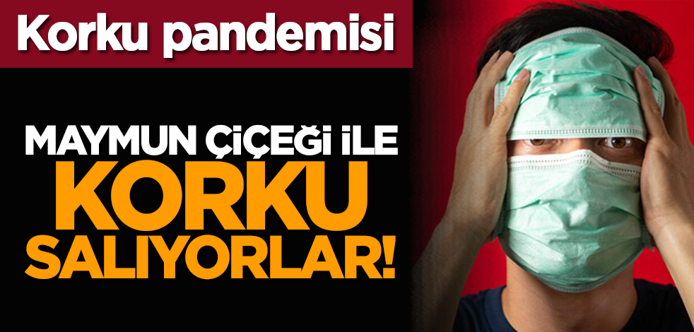 Korku pandemisi: Maymun çiçeği ile korku salıyorlar!