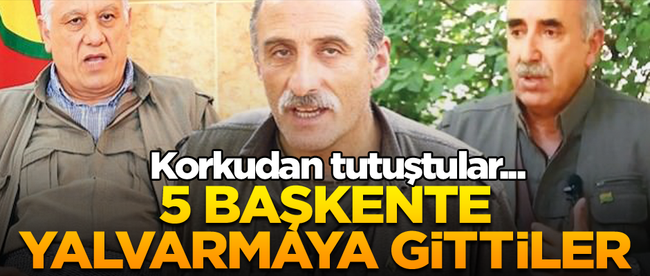 Korkudan tutuştular... 5 başkente yalvarmaya gittiler