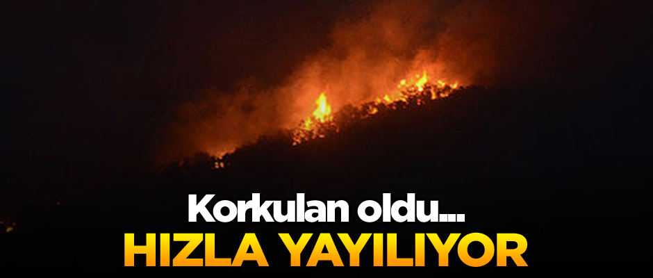Korkulan oldu... Hızla yayılıyor