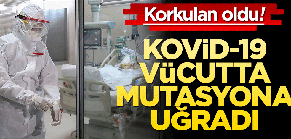 Korkulan oldu! Kovid-19 vücutta mutasyona uğradı