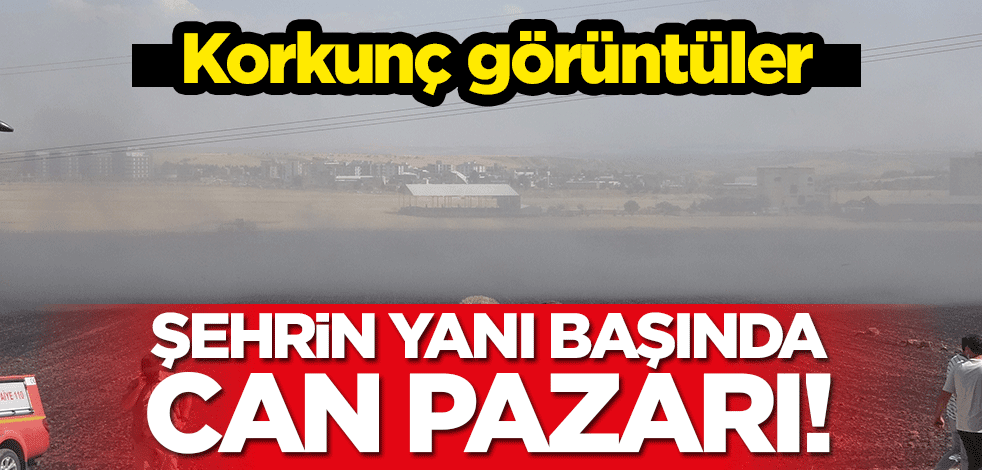 Korkunç görüntüler: Şehrin yanı başında can pazarı!