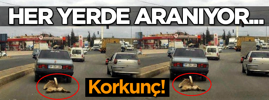 Korkunç! Her yerde aranıyor...