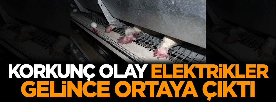 Korkunç olay elektrikler gelince ortaya çıktı