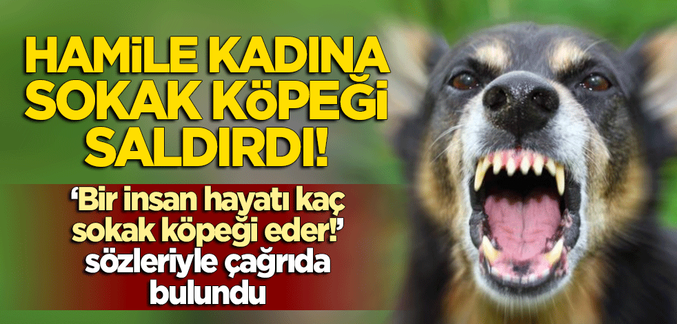 Korkunç olay: Sokak köpekleri hamile kadına saldırdı! "Bir insanın hayatı kaç sokak köpeği eder!"