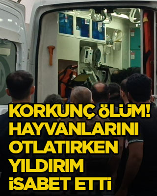 Korkunç ölüm! Hayvanlarını otlatırken yıldırım isabet etti