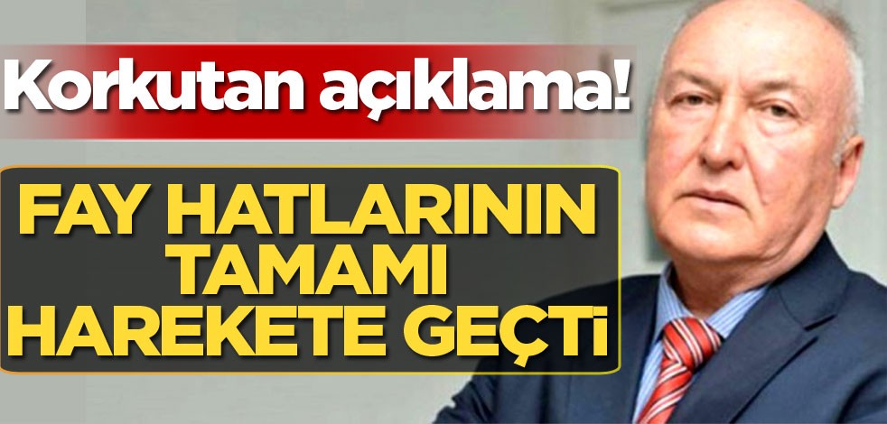 Korkutan açıklama! Fay hatlarının tamamı harekete geçti
