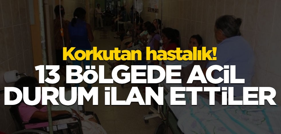 Korkutan hastalık! 13 bölgede acil durum ilan ettiler