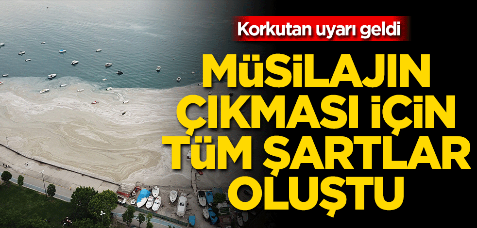 Korkutan uyarı! Marmara'da denizin ısınması müsilajı tetikleyebilir