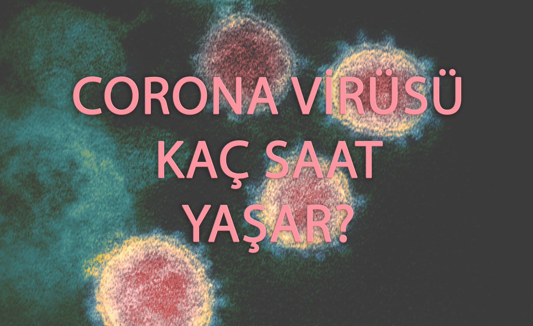 Korona virüs kaç saat yaşar?