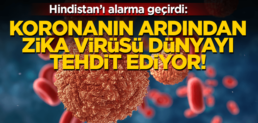 Koronanın ardından şimdi de zika virüsü dünyayı tehdit ediyor: Hindistan alarma geçti!