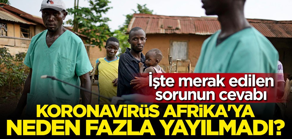 Koronavirüs Afrika'ya neden fazla yayılmadı? İşte merak edilen sorunun cevabı