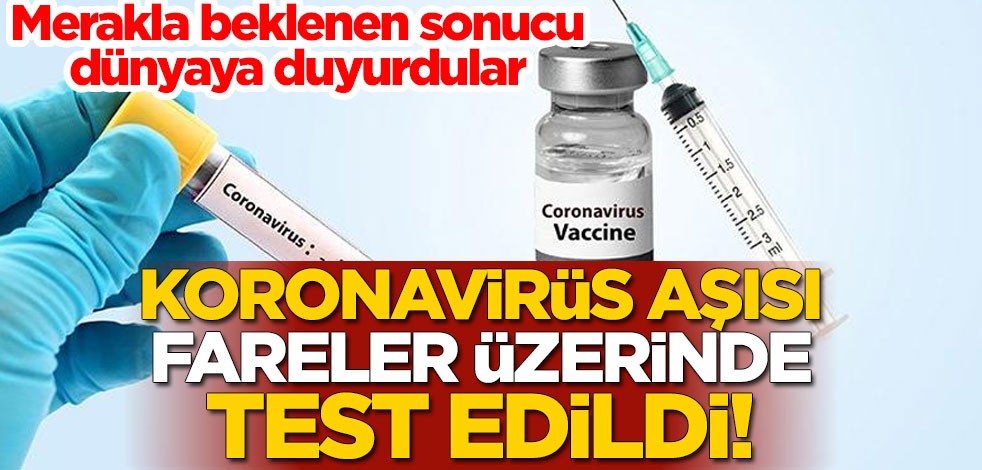 Koronavirüs aşısı fareler üzerinde test edildi! Merakla beklenen sonucu dünyaya duyurdular