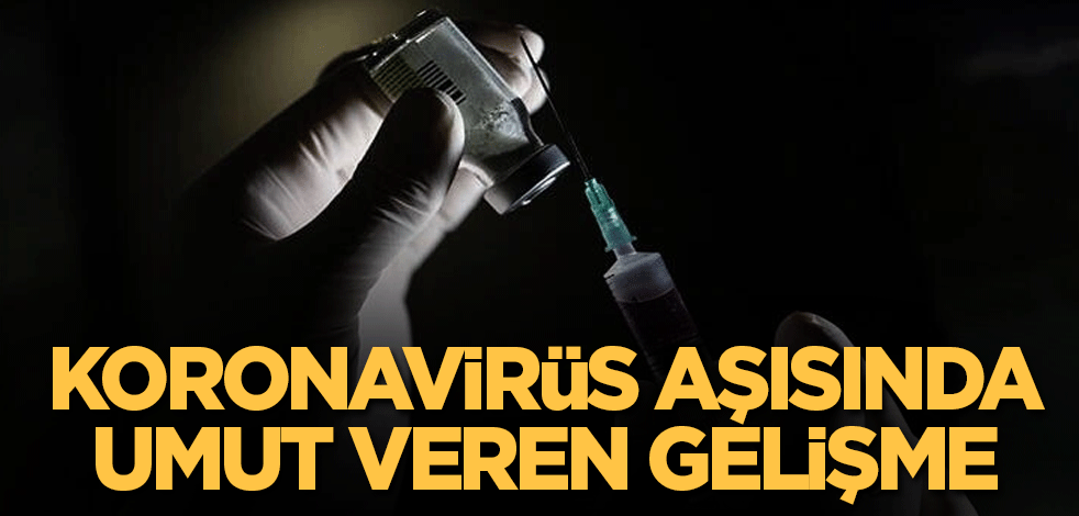 Koronavirüs aşısında umut veren gelişme