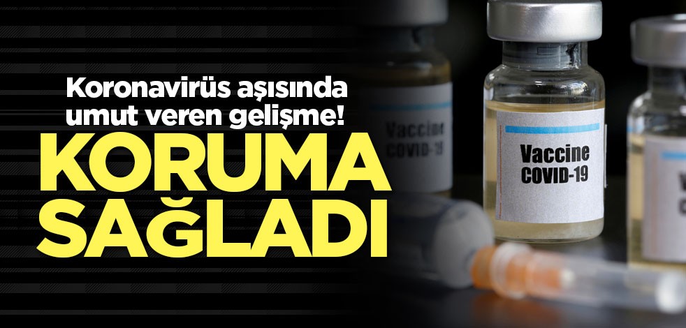 Koronavirüs aşısında umut veren gelişme! Koruma sağladı