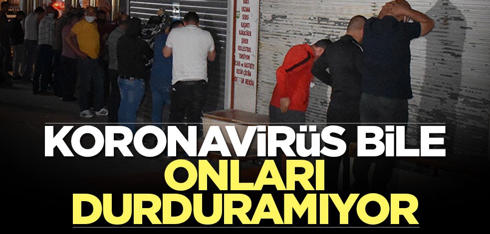 Koronavirüs bile onları durduramıyor