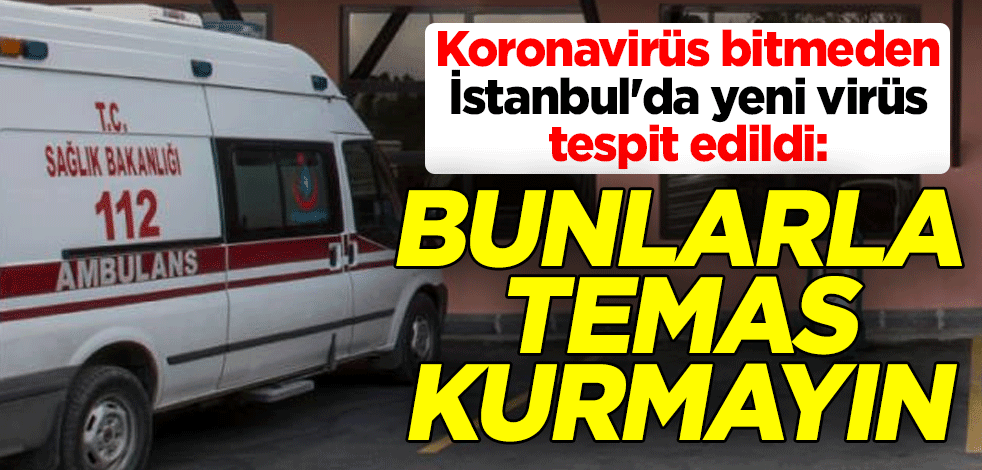 Koronavirüs bitmeden İstanbul'da Batı Nil Virüsü tespit edildi: Bunlarla temas kurmayın