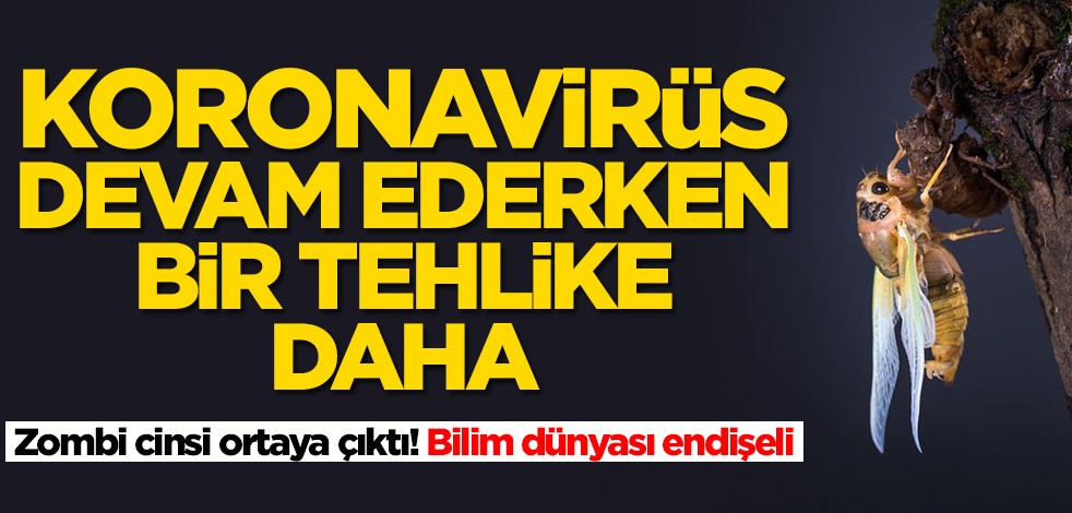 Koronavirüs devam ederken bir tehlike daha! Zombi cinsi ortaya çıktı