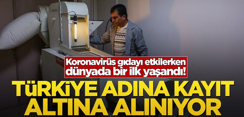 Koronavirüs gıdayı etkilerken dünyada bir ilk yaşandı! Türkiye adına kayıt altına alınıyor