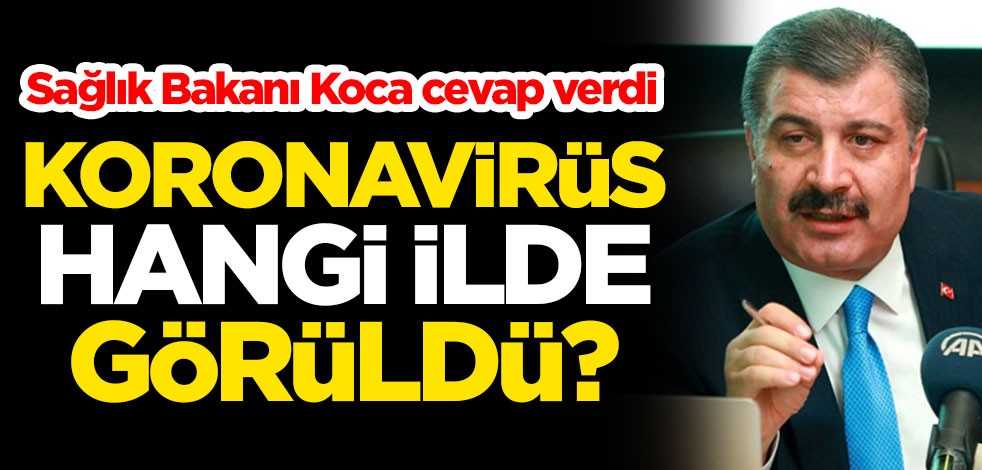 Koronavirüs hangi ilde görüldü? Sağlık Bakanı Fahrettin Koca cevap verdi