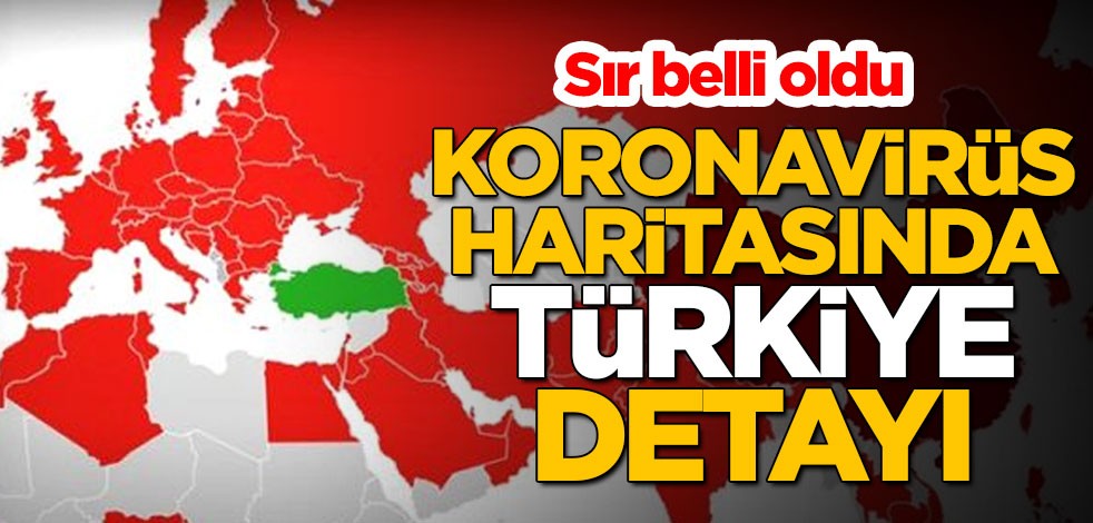 Koronavirüs haritasında Türkiye detayı! Sır belli oldu