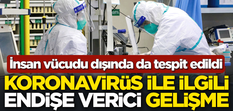 Koronavirüs ile ilgili endişe verici gelişme: İnsan vücudu dışında da tespit edildi