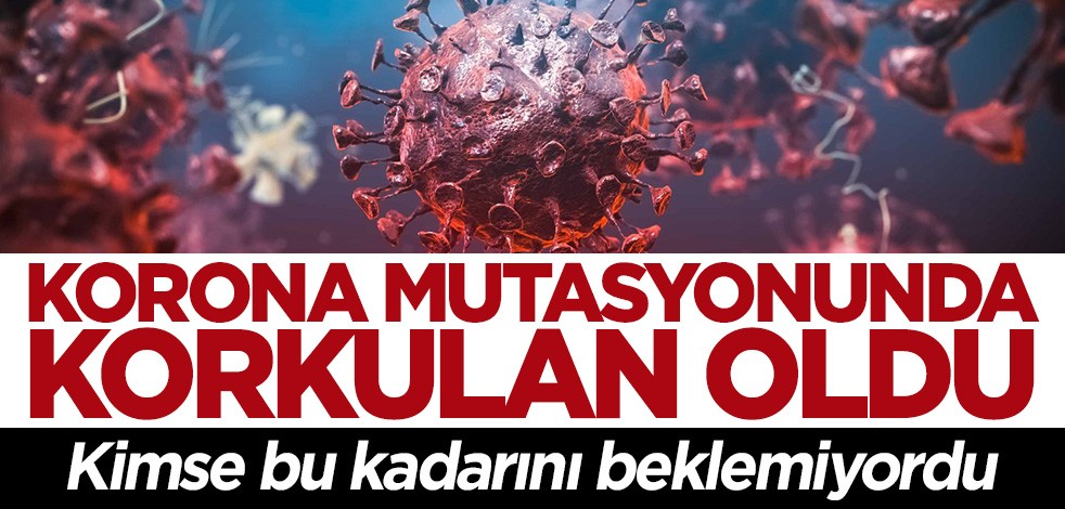 Koronavirüs mutasyonunda korkulan oldu! Çok hızlı ilerliyor