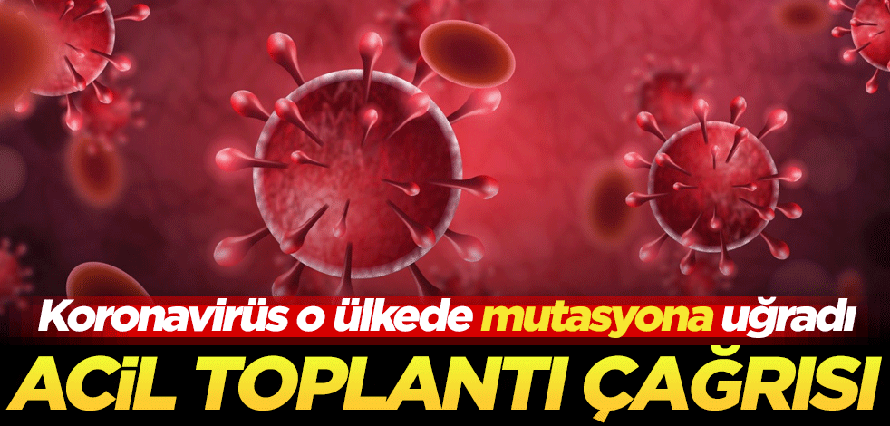 Koronavirüs o ülkede mutasyona uğradı! Acil toplantı çağrısı