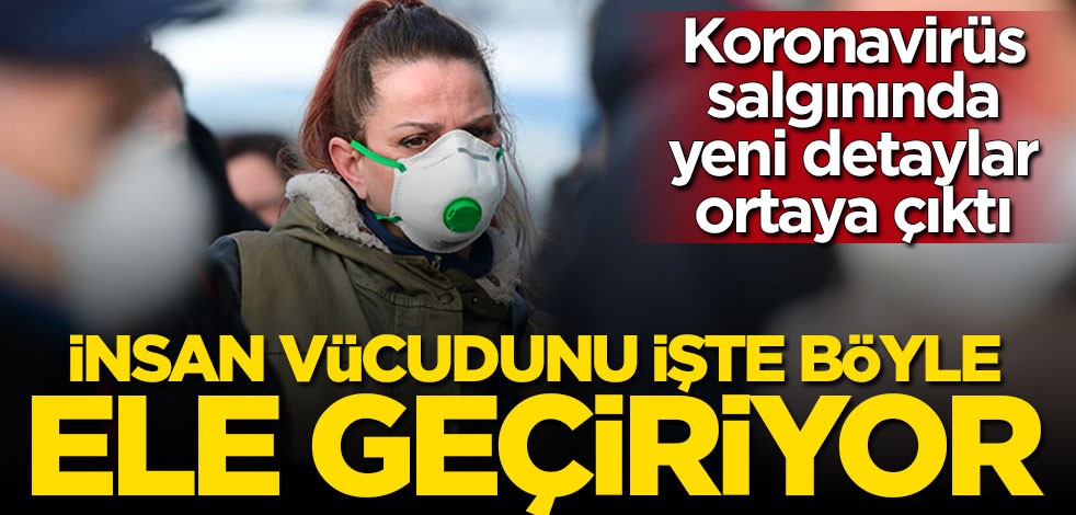 Koronavirüs salgınında yeni detaylar ortaya çıktı: İnsan vücudunu işte böyle ele geçiriyor