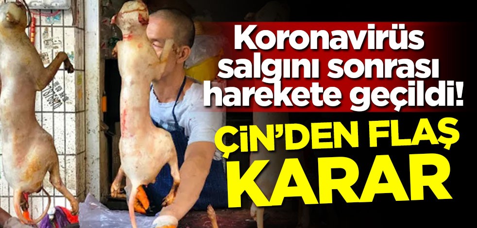 Koronavirüs sonrası harekete geçildi! Çin'den flaş karar