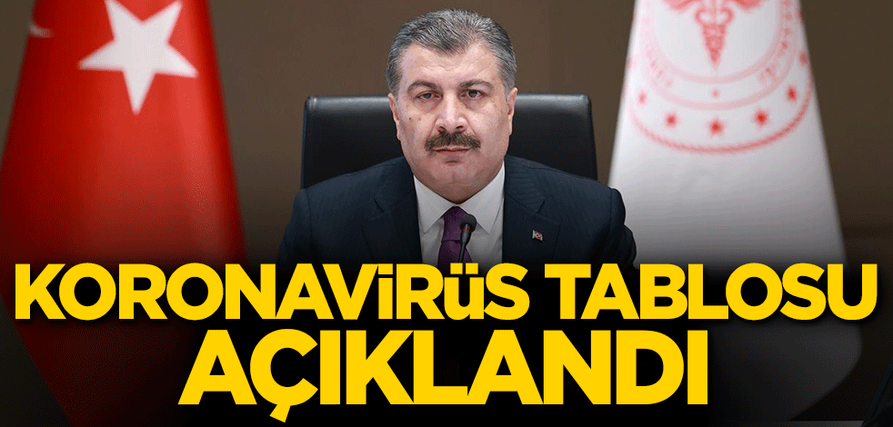 Koronavirüs tablosu açıklandı