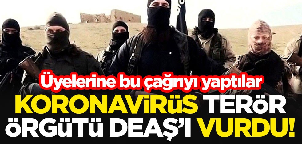 Koronavirüs, terör örgütü DEAŞ'ı vurdu! Üyelerine bu çağrıyı yaptılar
