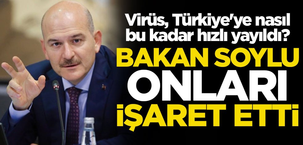Koronavirüs, Türkiye'ye nasıl bu kadar hızlı yayıldı? İçişleri Bakanı Süleyman Soylu onları işaret etti
