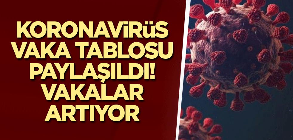 Koronavirüs vaka tablosu paylaşıldı! Vakalar artıyor
