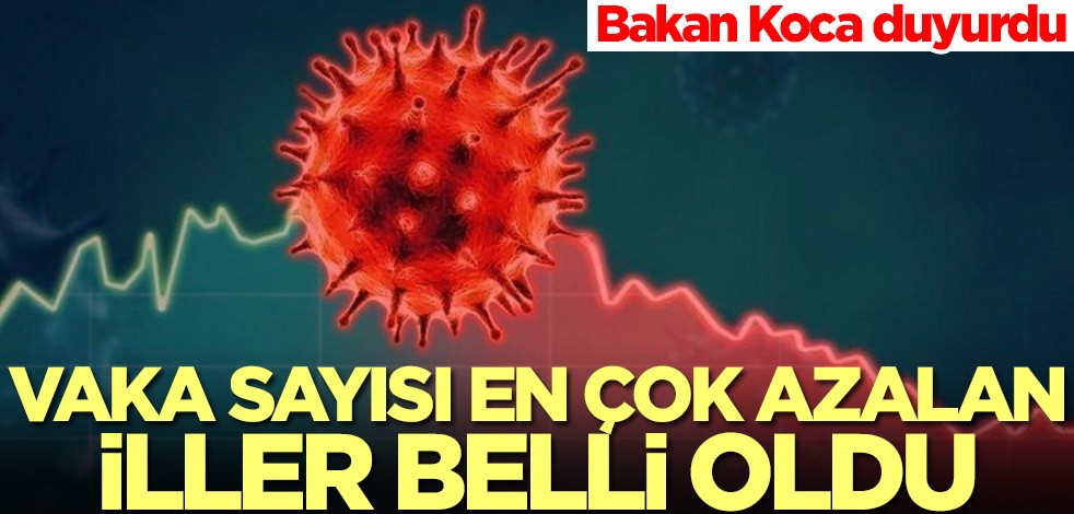 Koronavirüs vakası en çok azalan iller belli oldu