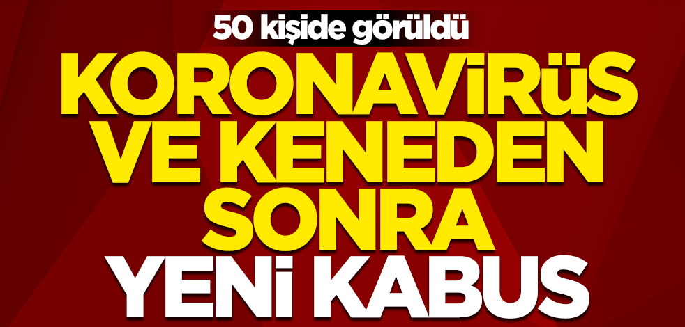 Koronavirüs ve keneden sonra yeni kabus... 50 kişide görüldü
