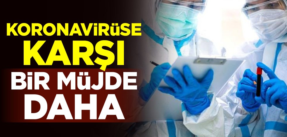 Koronavirüse karşı bir müjde daha
