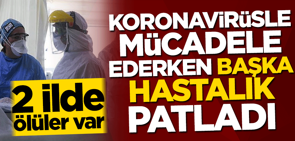 Koronavirüsle mücadele ederken başka hastalık patladı! 2 ilimizde ölüler var
